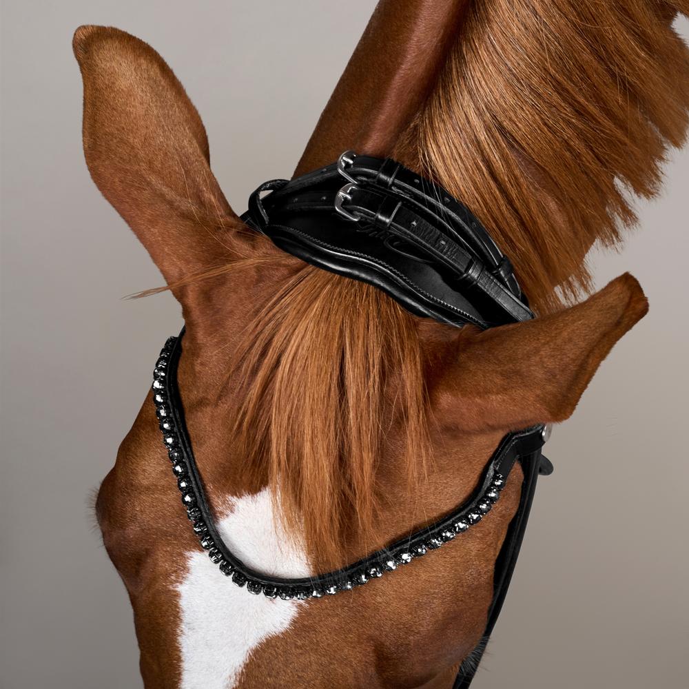 ComfoHead Bridle WO | Dy'on | Innovative — Image 6