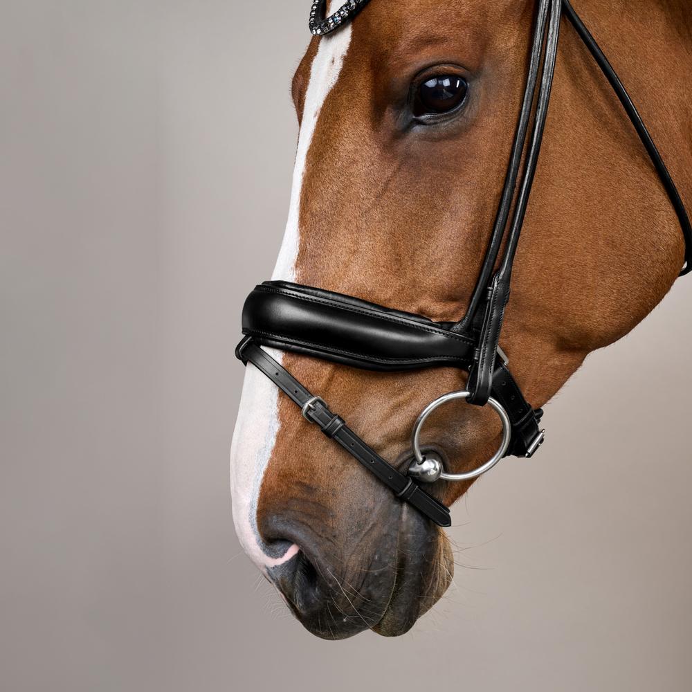 ComfoHead Bridle WO | Dy'on | Innovative — Image 5
