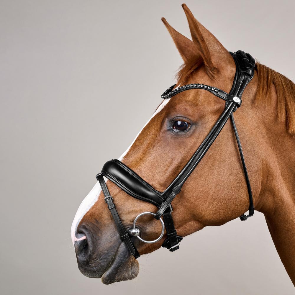 ComfoHead Bridle WO | Dy'on | Innovative — Image 2