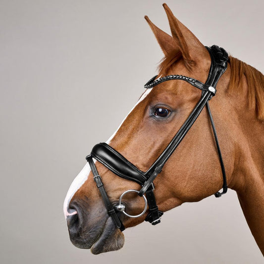 ComfoHead Bridle WO | Dy'on | Innovative — Image 2