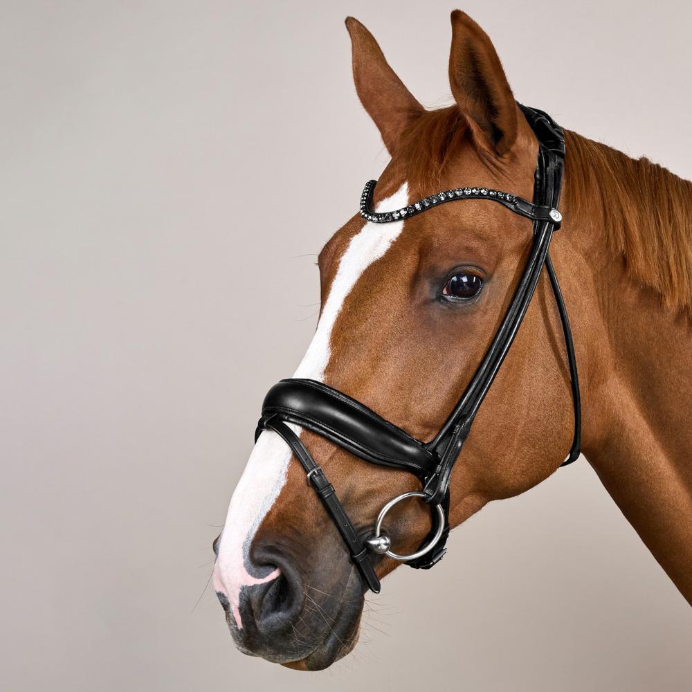 ComfoHead Bridle WO | Dy'on | Innovative — Image 3