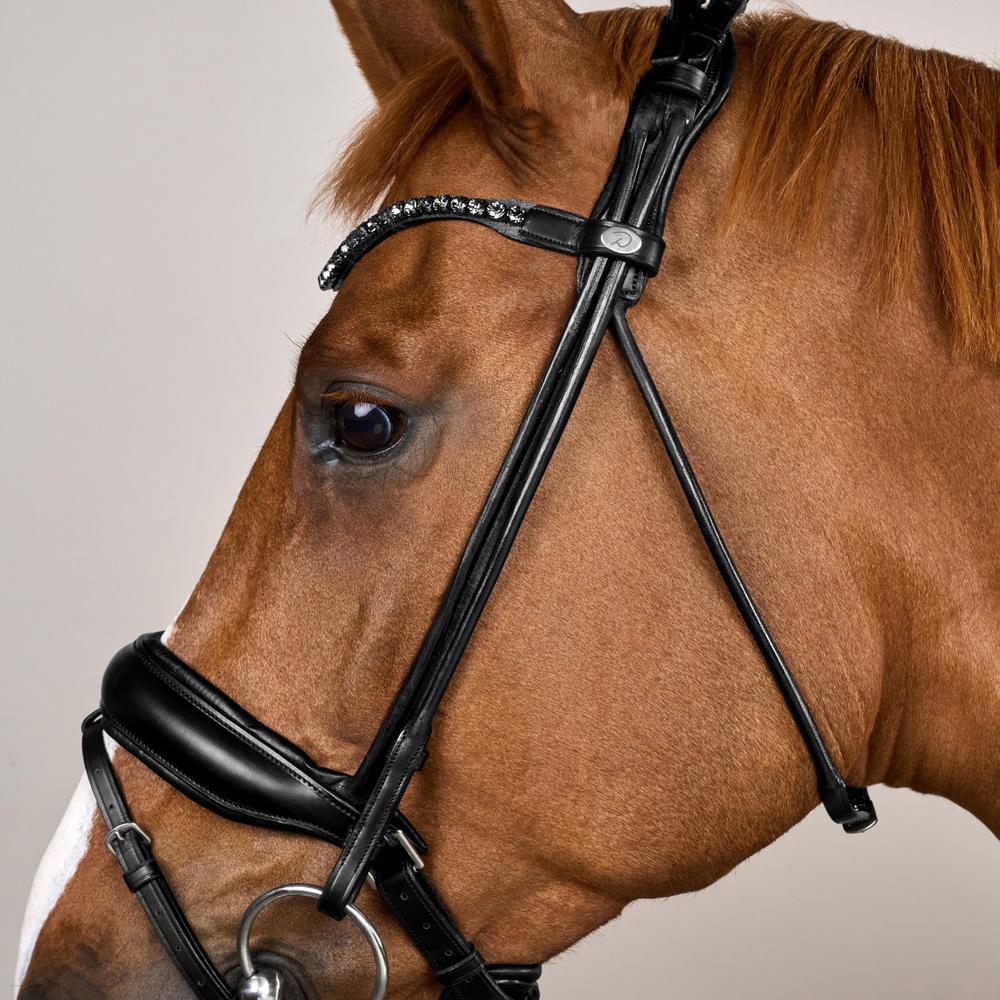 ComfoHead Bridle WO | Dy'on | Innovative — Image 4