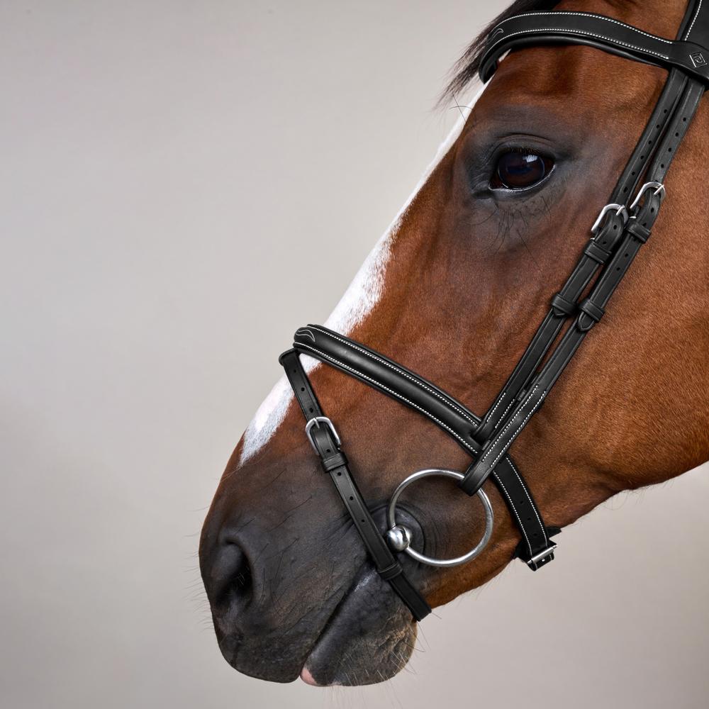 Flash Noseband Bridle With Snap Hook WO | Dy'on | style — Image 9