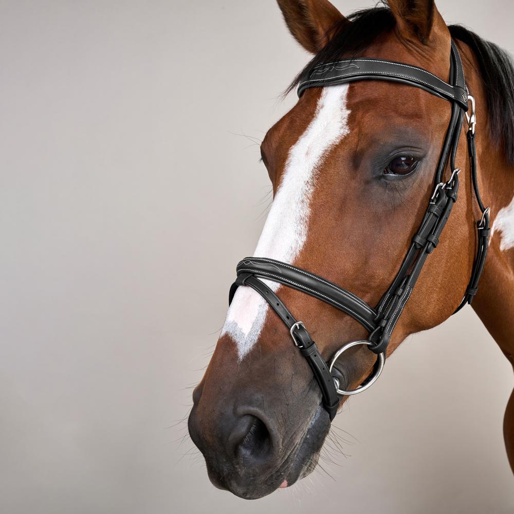 Flash Noseband Bridle With Snap Hook WO | Dy'on | style — Image 10