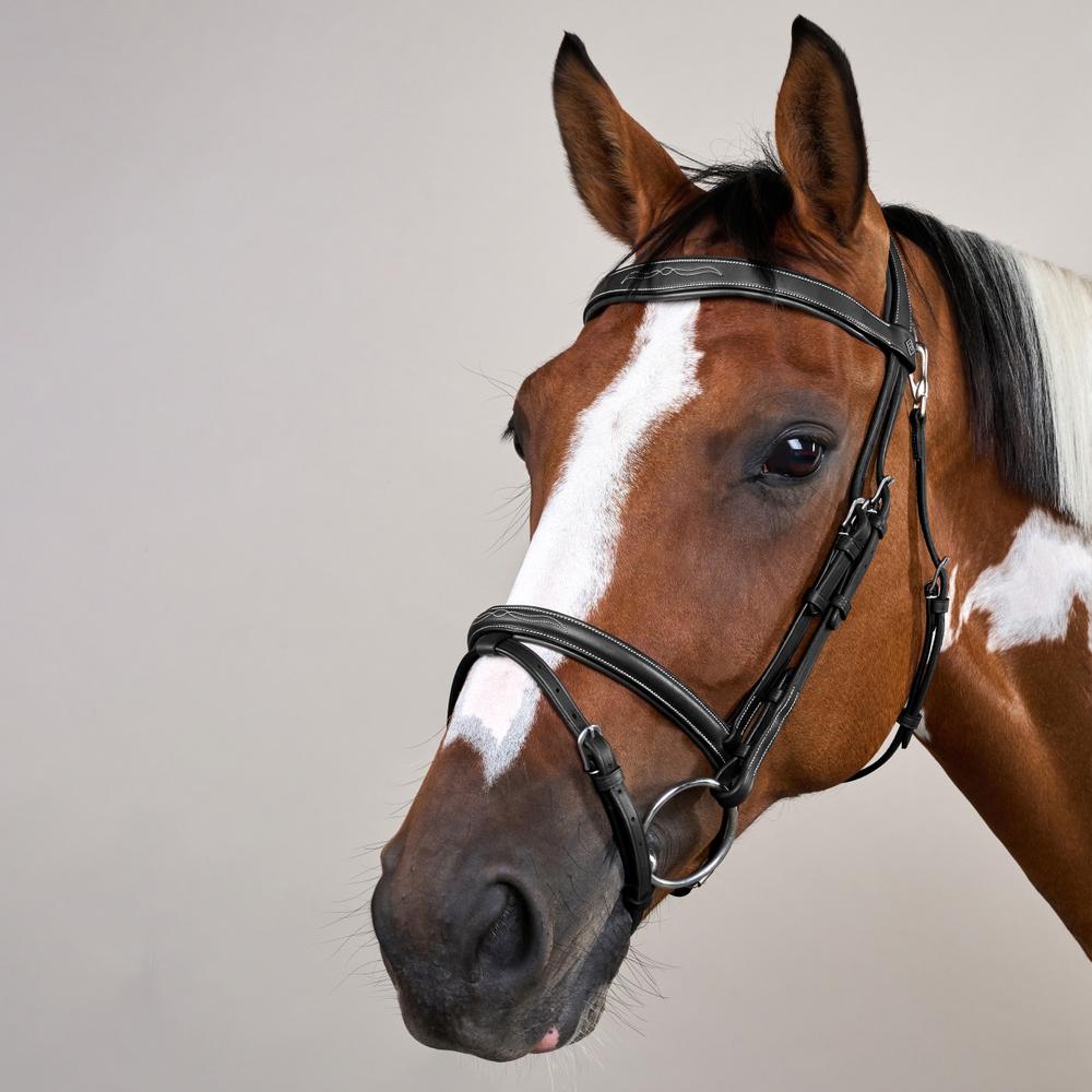 Flash Noseband Bridle With Snap Hook WO | Dy'on | style — Image 7