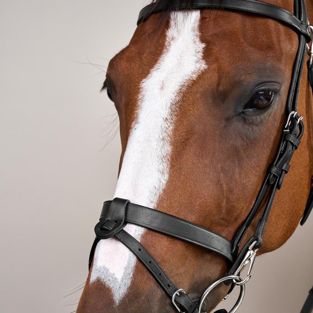 Flat Leather Bridle With Snap Hooks WO | Dy'on | Versatile — Image 9