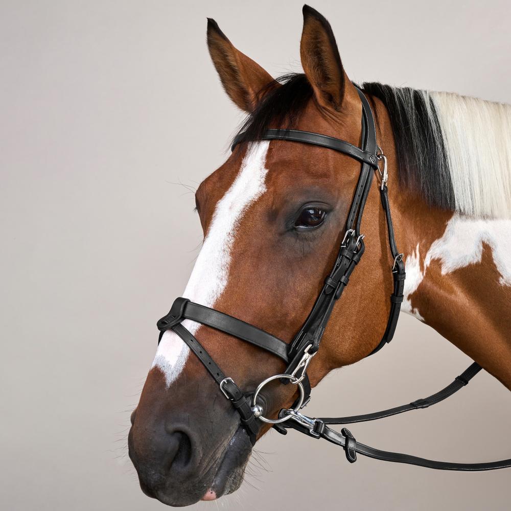 Flat Leather Bridle With Snap Hooks WO | Dy'on | Versatile — Image 7