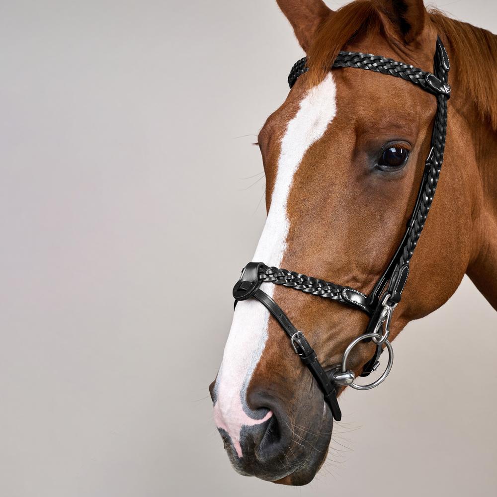 Plaited Training Bridle WO | Dy'on | PremiumLeather — Image 11