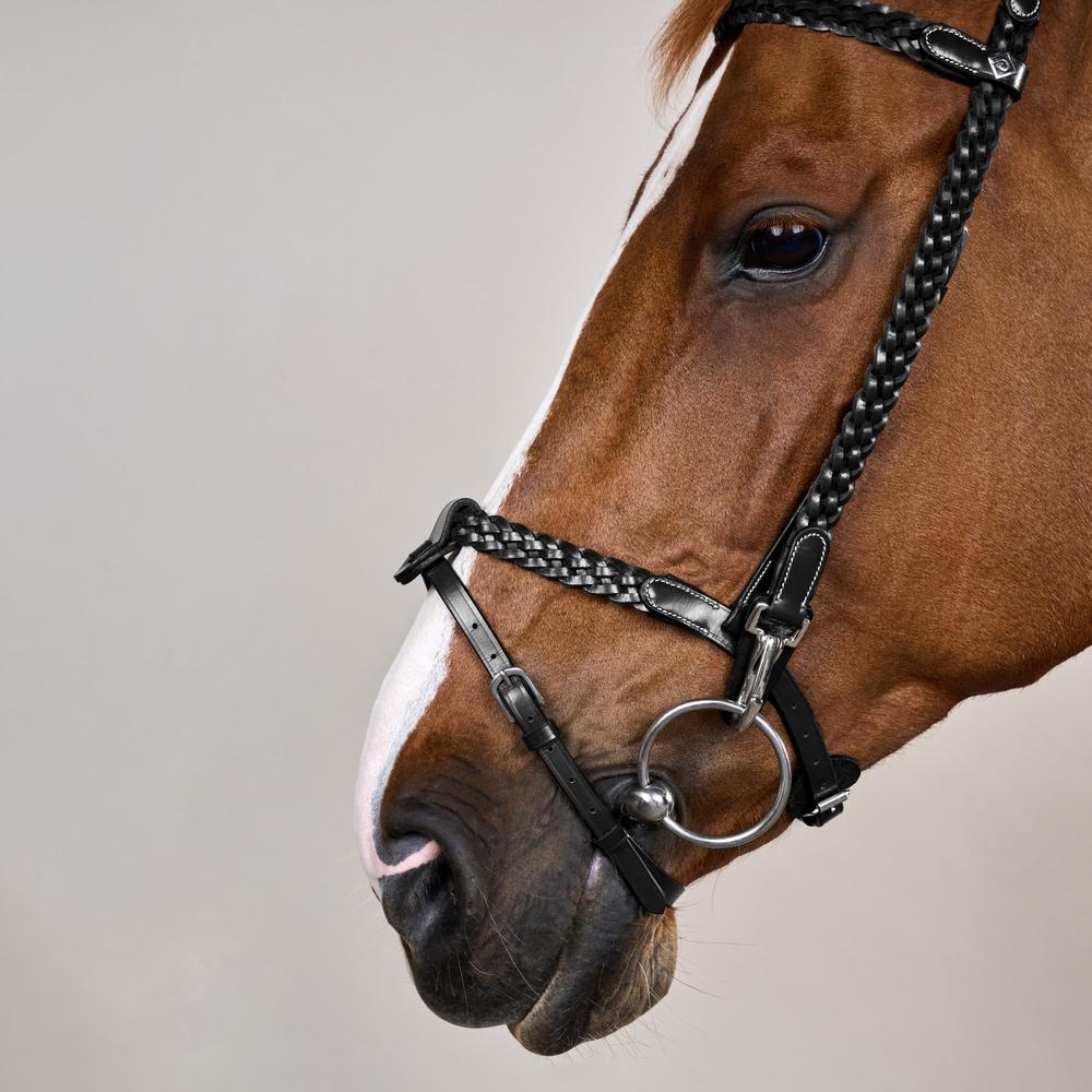 Plaited Training Bridle WO | Dy'on | PremiumLeather — Image 9
