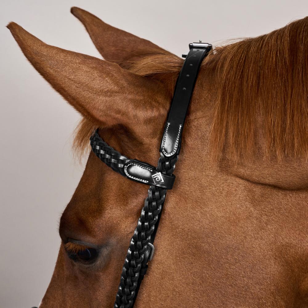 Plaited Training Bridle WO | Dy'on | PremiumLeather — Image 10
