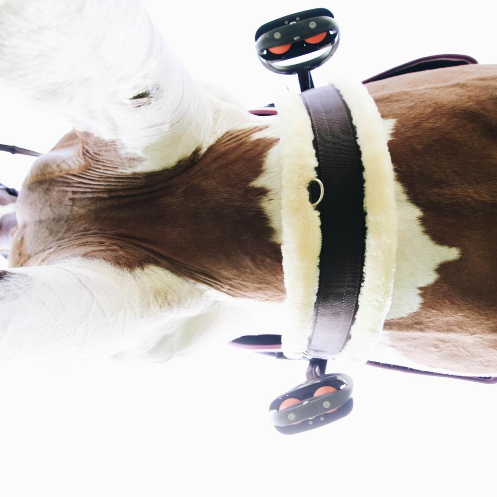 Sheepskin Girth | Kentucky Horsewear | Comfort — Image 6