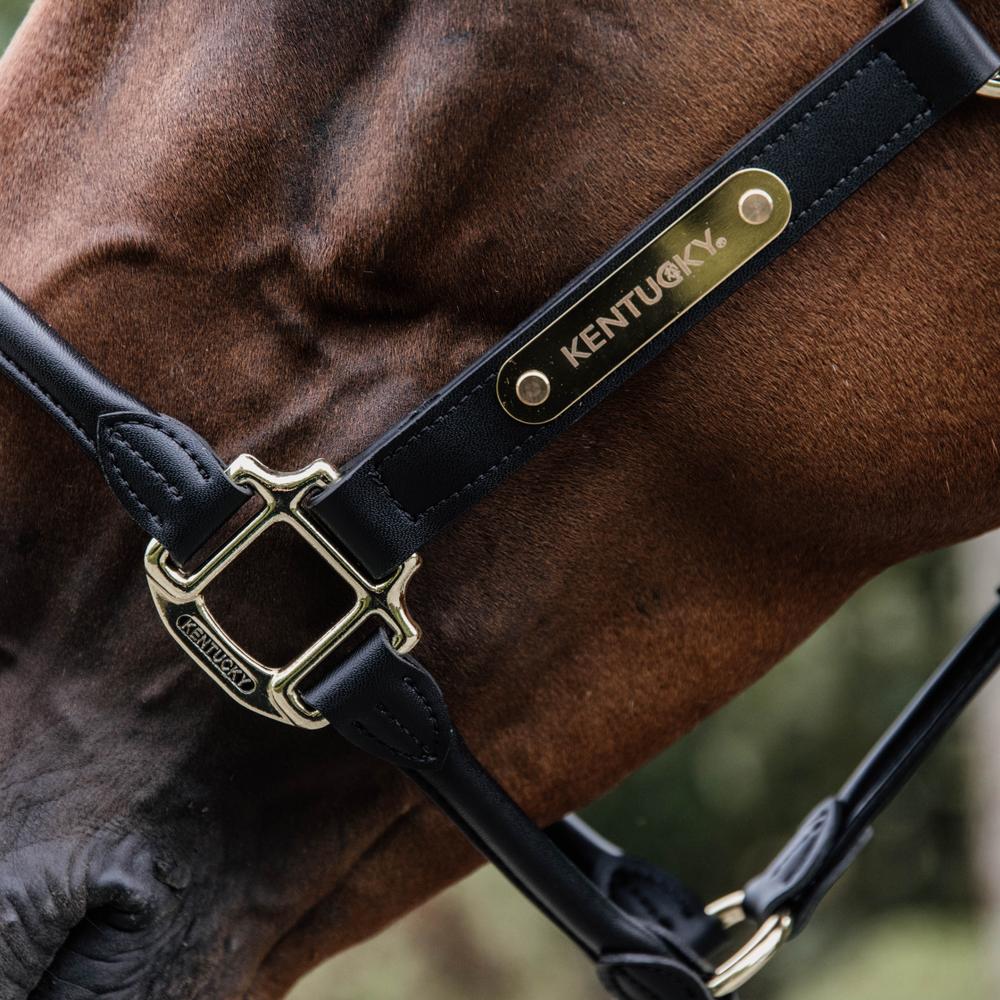 Name Plate Logo Halter | Kentucky Horsewear | Personalisation — Image 2