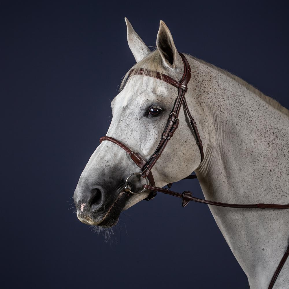 Leather Covered Rope Noseband Bridle NE | Dy'on | Durability