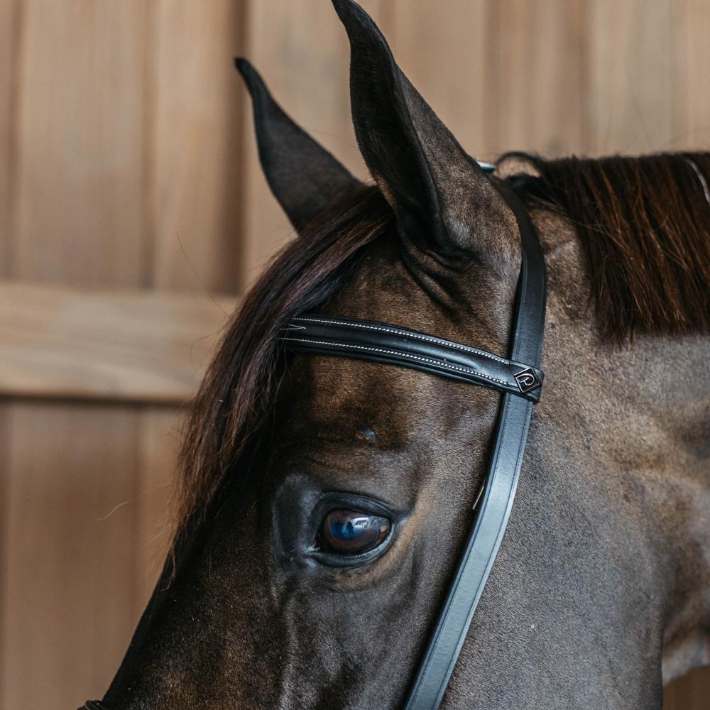 Training Bridle WO | Dy'on | Durable — Image 3