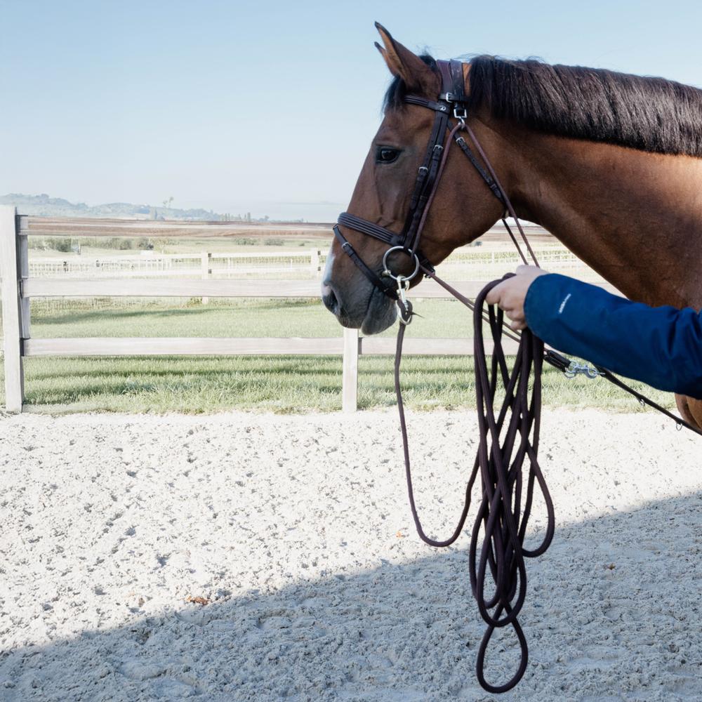 Lunge Rope | Kentucky Horsewear | Durable — Image 2