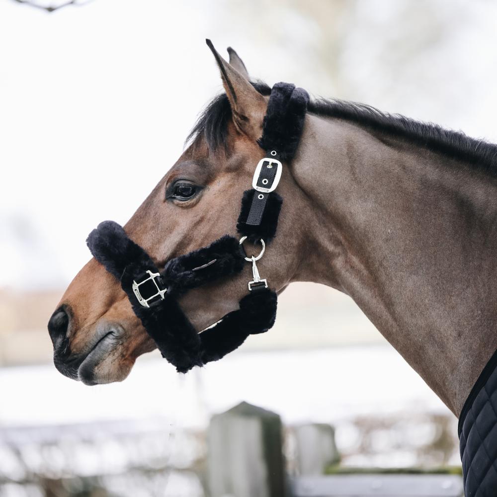Sheepskin Shipping Halter | Kentucky Horsewear | Comfort — Image 11