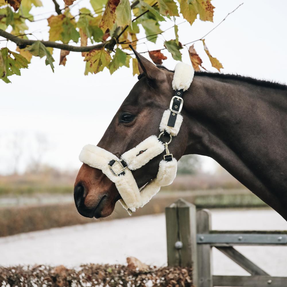 Sheepskin Shipping Halter | Kentucky Horsewear | Comfort — Image 2