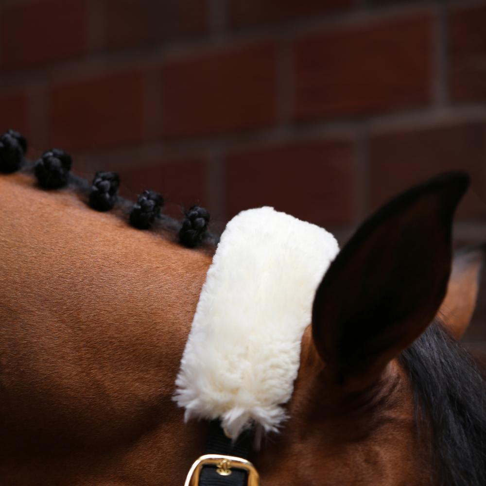 Sheepskin Shipping Halter | Kentucky Horsewear | Comfort — Image 5