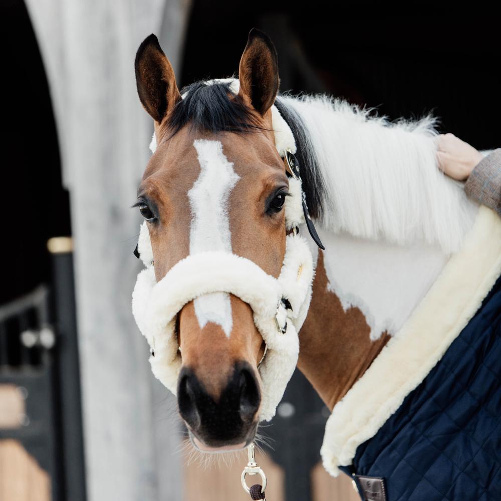 Sheepskin Shipping Halter | Kentucky Horsewear | Comfort — Image 4