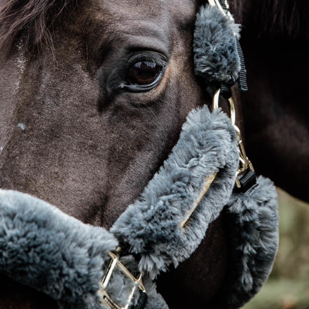 Sheepskin Shipping Halter | Kentucky Horsewear | Comfort — Image 12