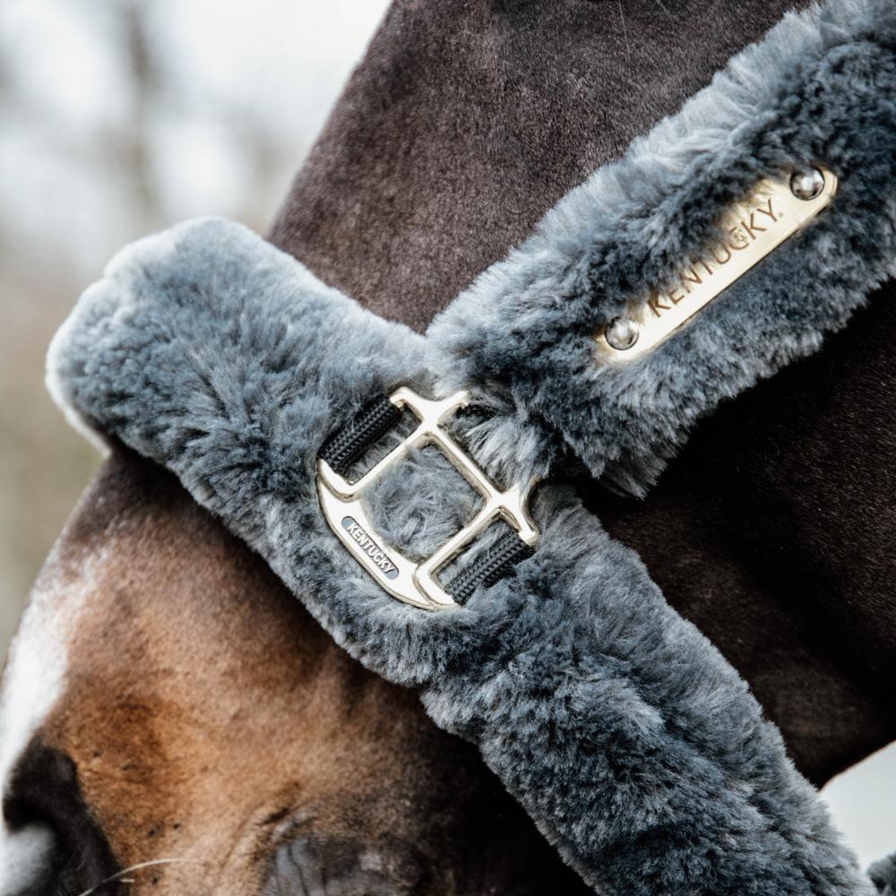 Sheepskin Shipping Halter | Kentucky Horsewear | Comfort — Image 13
