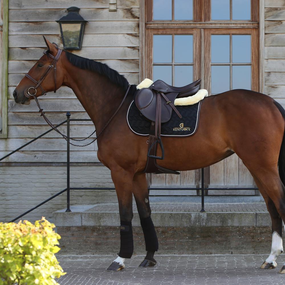 Saddle Pad No Logo | Kentucky Horsewear | AnatomicalComfort — Image 10