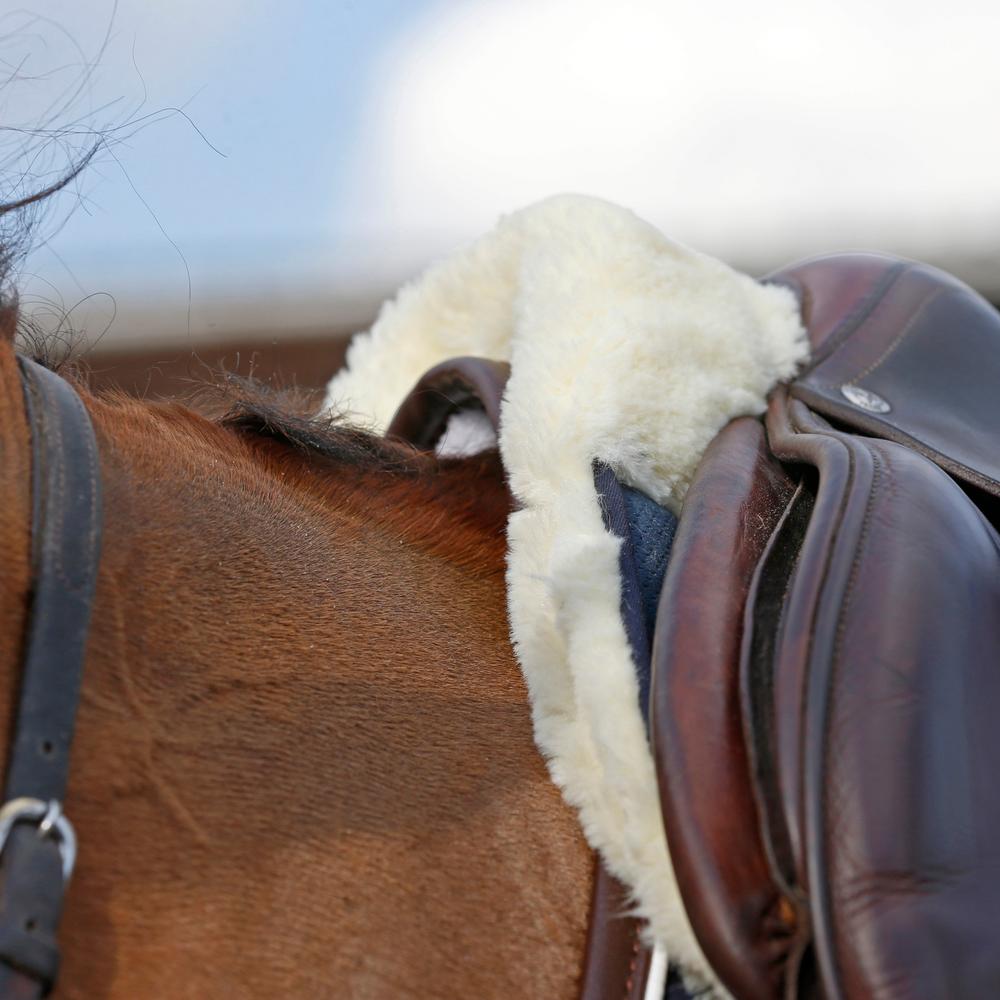 Sheepskin Half Pad Absorb | Kentucky Horsewear | — Image 5