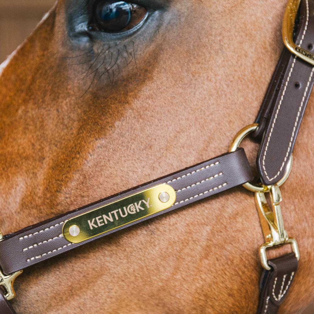 Leather Halter Wellington | Kentucky Horsewear | Stylish — Image 6
