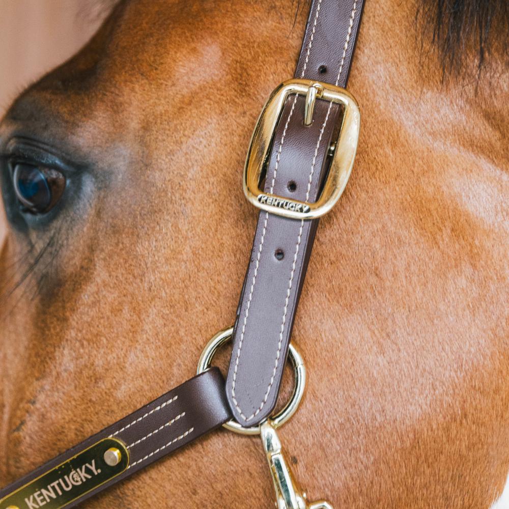 Leather Halter Wellington | Kentucky Horsewear | Stylish — Image 7