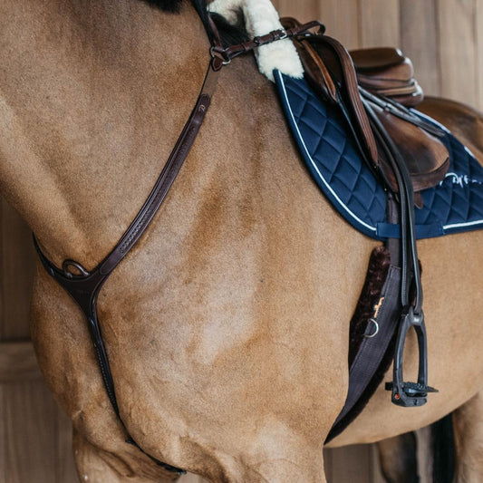 Plaited Bridge Breastplate | Dy'on | PremiumLeather