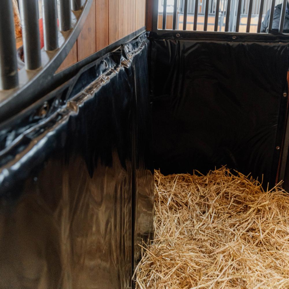 Kick Pad | Kentucky Horsewear | Safety — Image 8