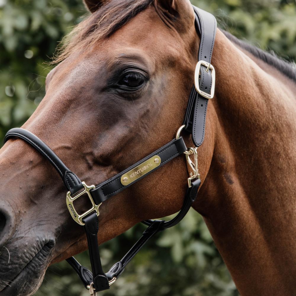 Anatomic Leather Halter | Kentucky Horsewear | Comfort — Image 8