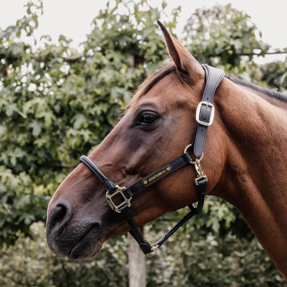 Anatomic Leather Halter | Kentucky Horsewear | Comfort — Image 9