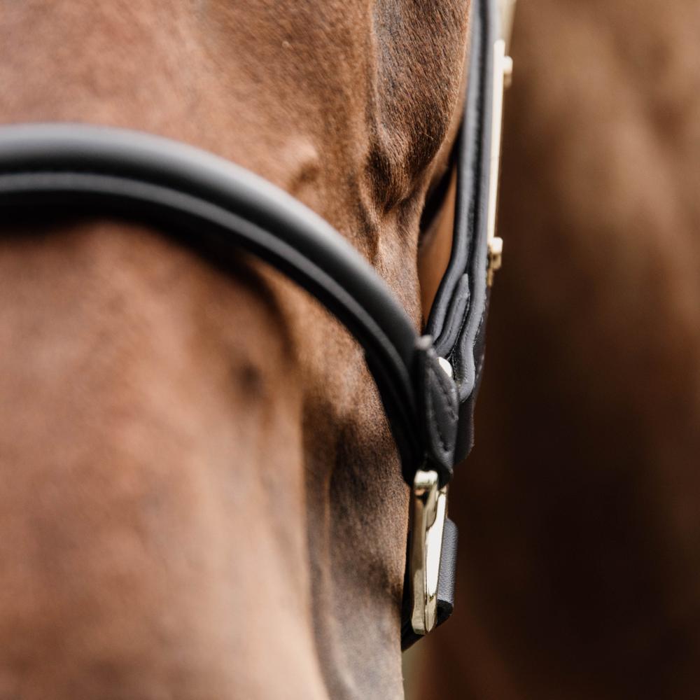 Anatomic Leather Halter | Kentucky Horsewear | Comfort — Image 10