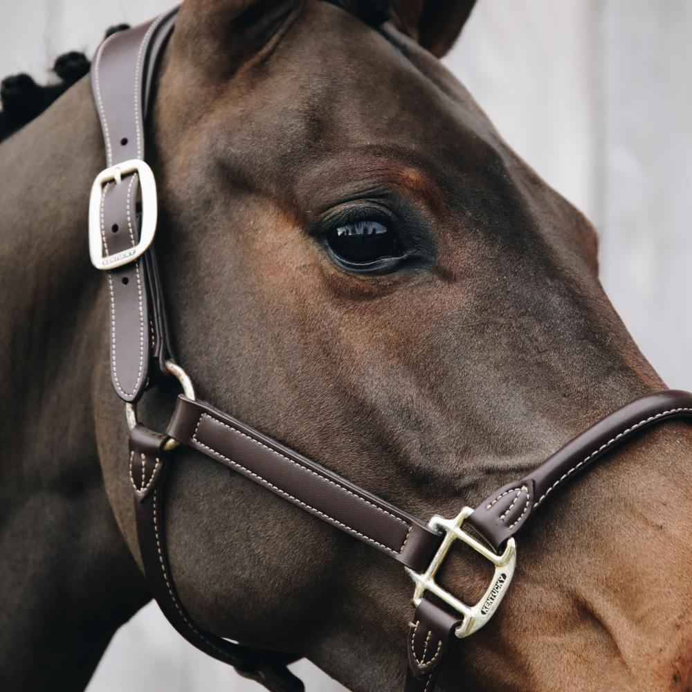 Anatomic Leather Halter | Kentucky Horsewear | Comfort — Image 6