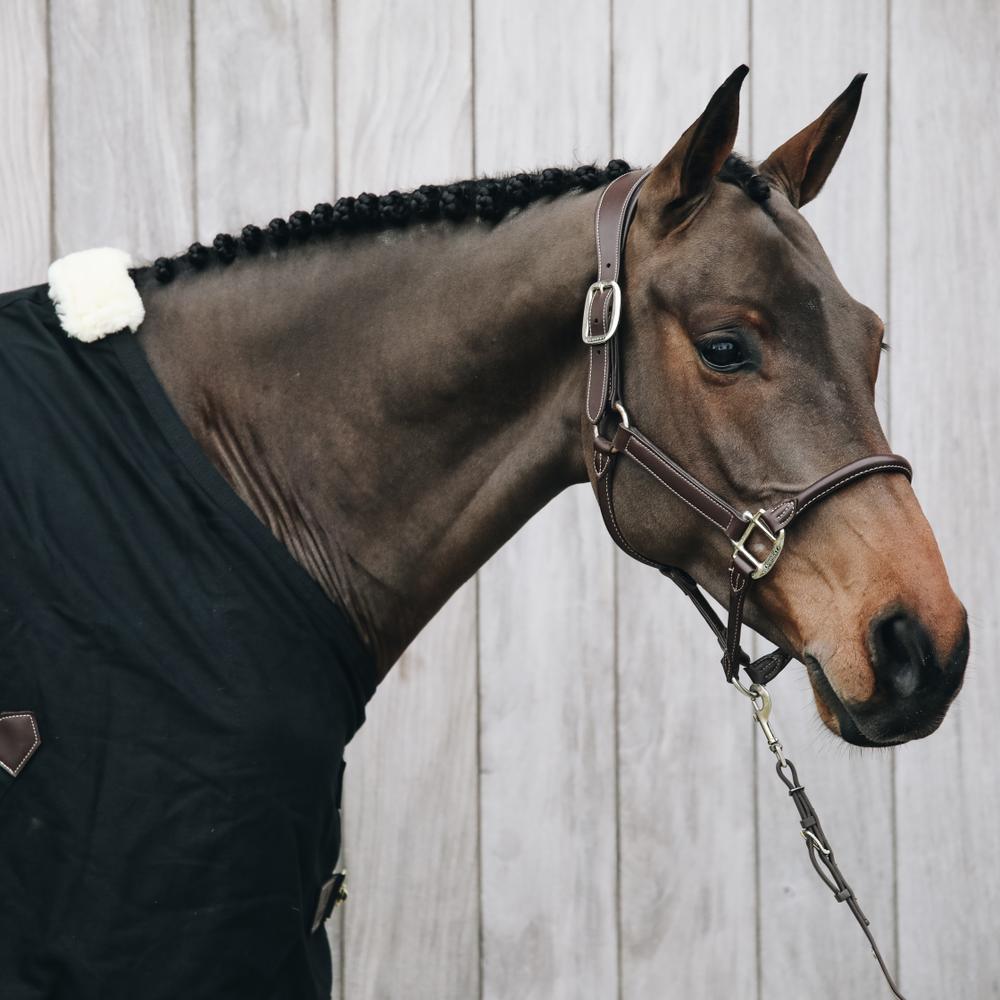 Anatomic Leather Halter | Kentucky Horsewear | Comfort — Image 5