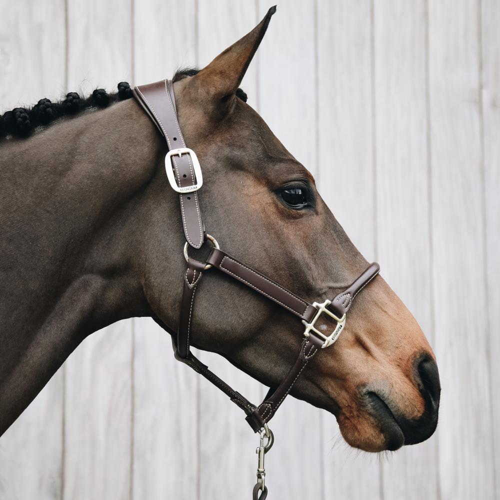 Anatomic Leather Halter | Kentucky Horsewear | Comfort — Image 4