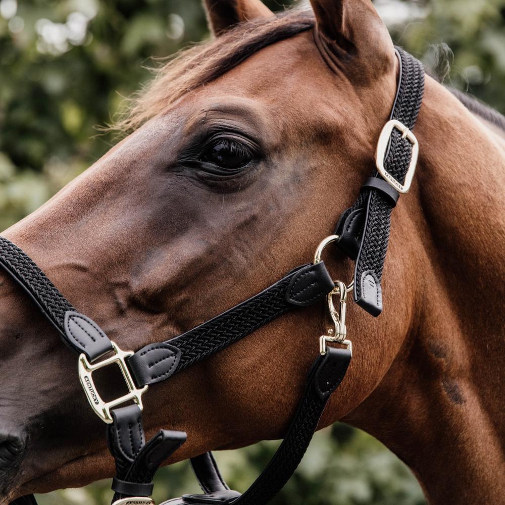 Plaited Nylon Halter | Kentucky Horsewear | Durable — Image 5