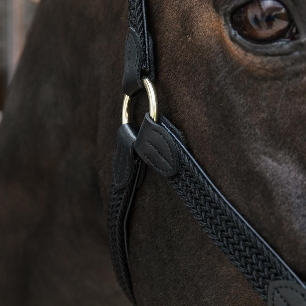 Plaited Nylon Halter | Kentucky Horsewear | Durable — Image 18