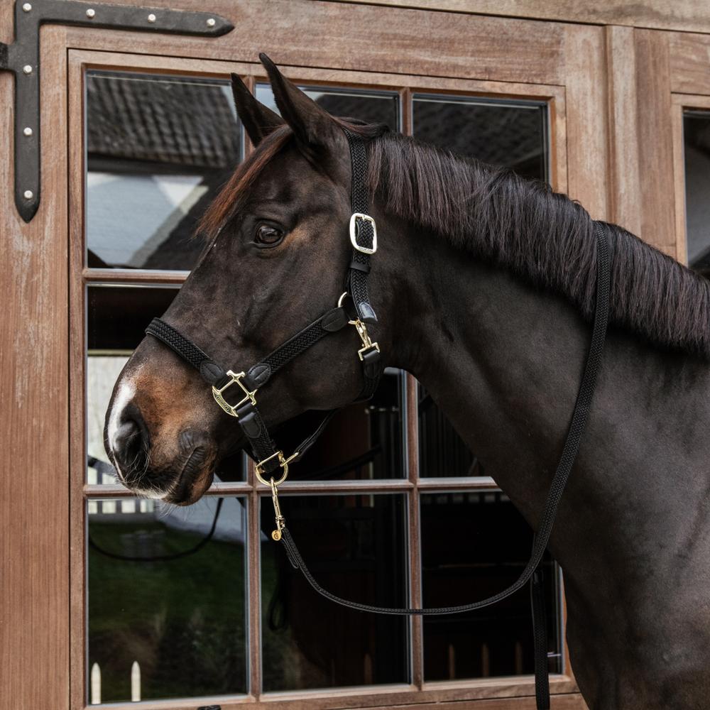 Plaited Nylon Halter | Kentucky Horsewear | Durable — Image 19