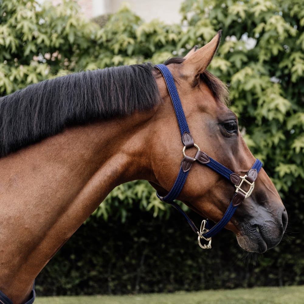 Plaited Nylon Halter | Kentucky Horsewear | Durable — Image 17