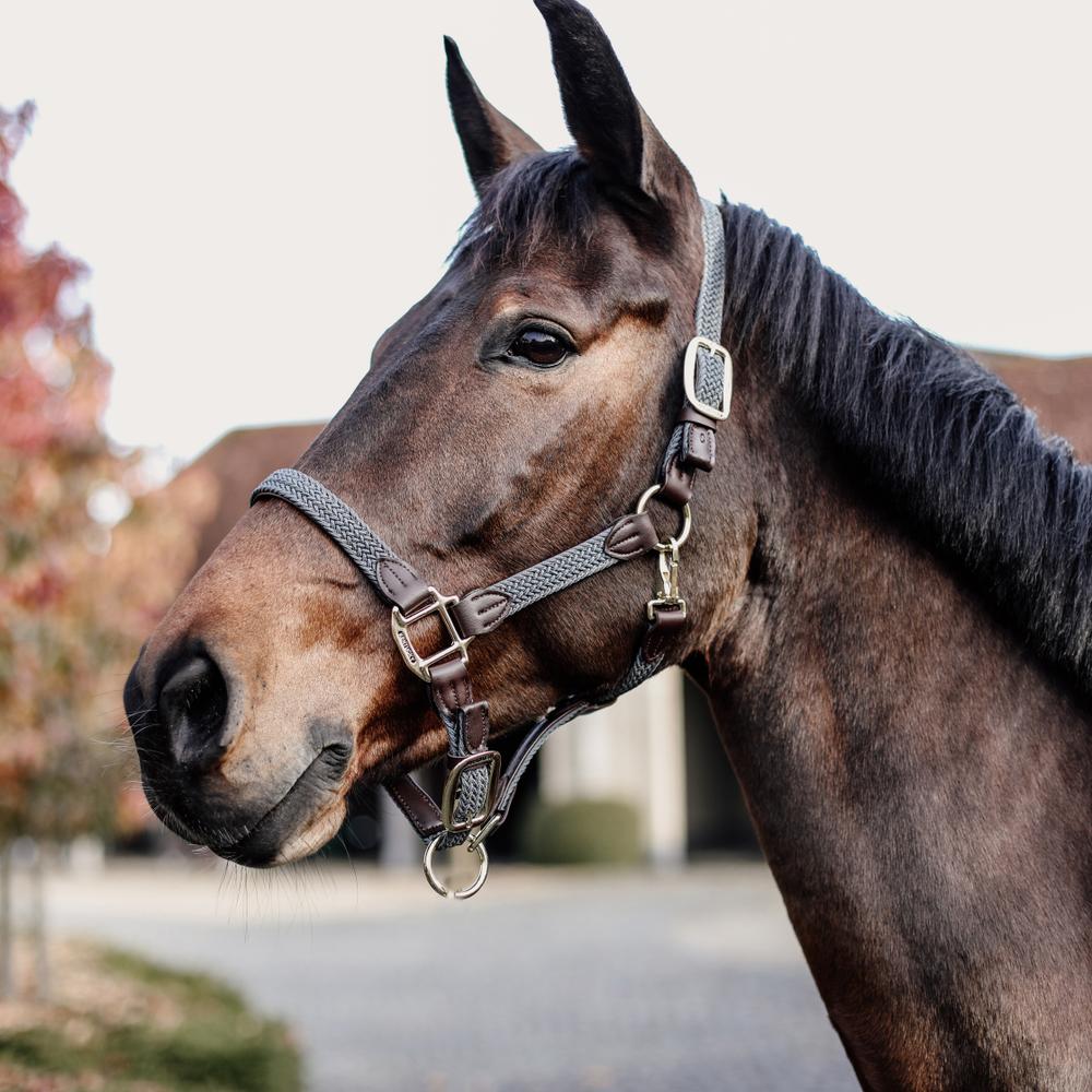 Plaited Nylon Halter | Kentucky Horsewear | Durable — Image 15
