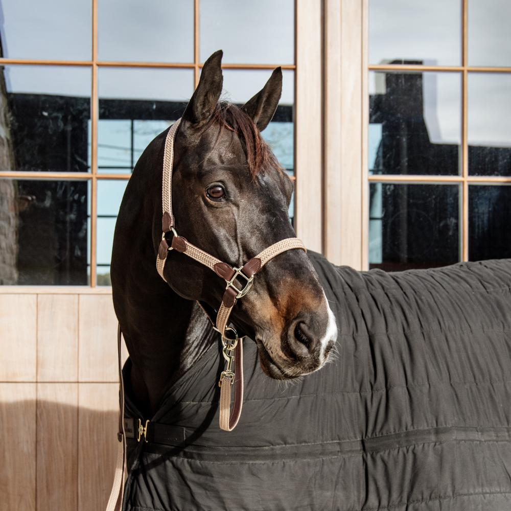 Plaited Nylon Halter | Kentucky Horsewear | Durable — Image 3
