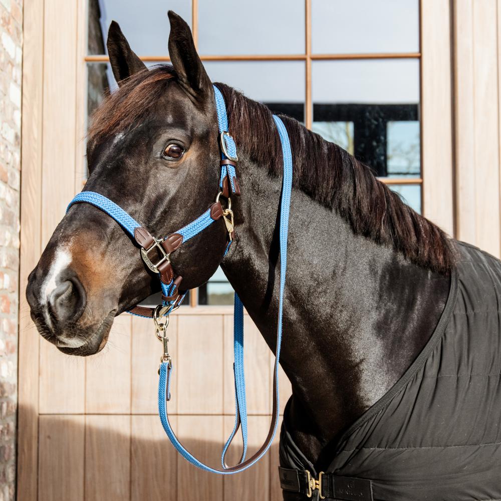 Plaited Nylon Halter | Kentucky Horsewear | Durable — Image 7