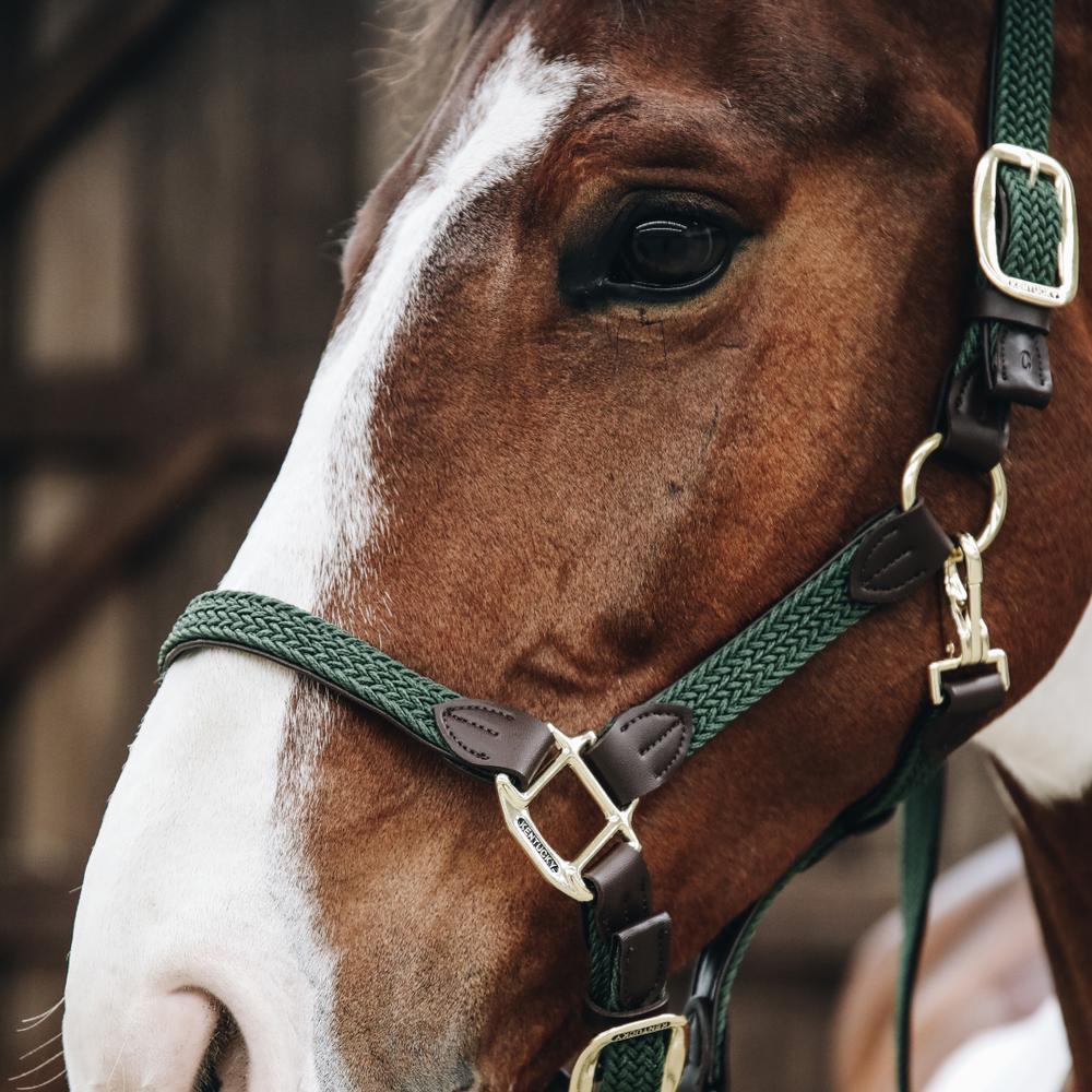 Plaited Nylon Halter | Kentucky Horsewear | Durable — Image 13