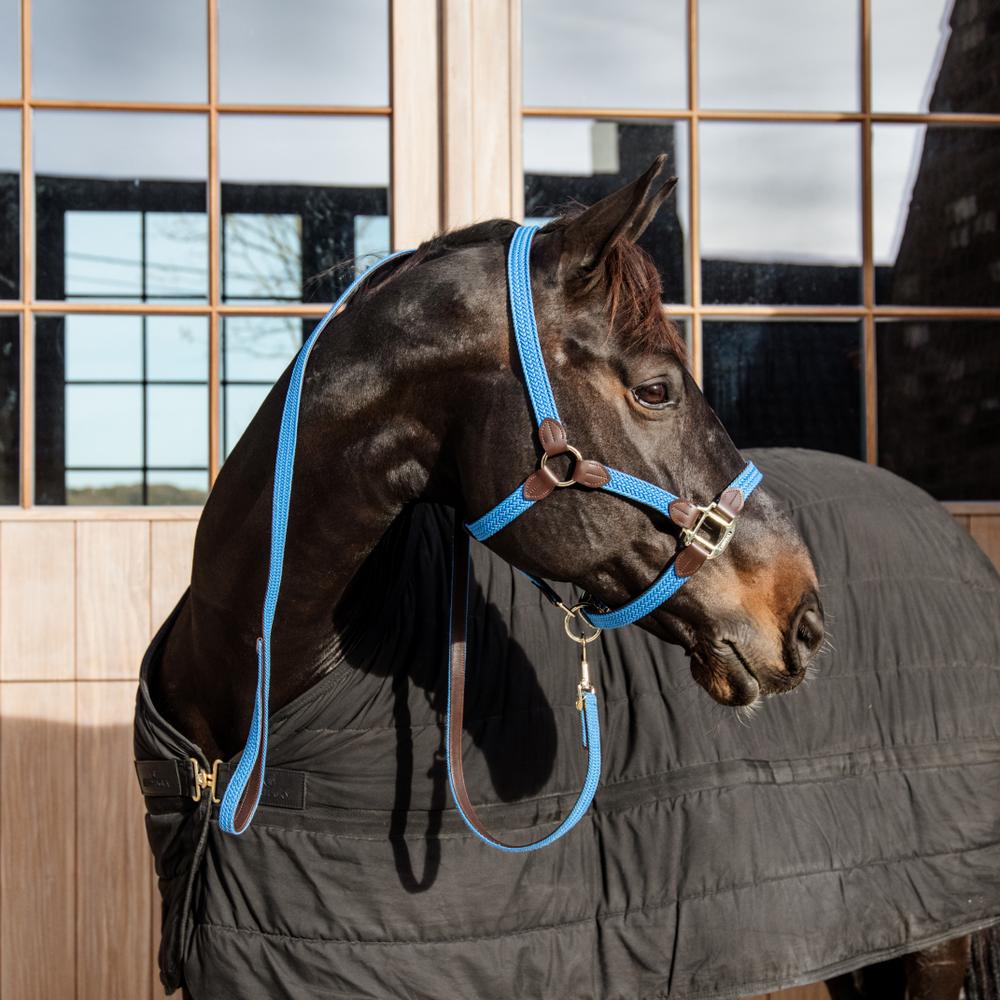 Plaited Nylon Halter | Kentucky Horsewear | Durable — Image 20