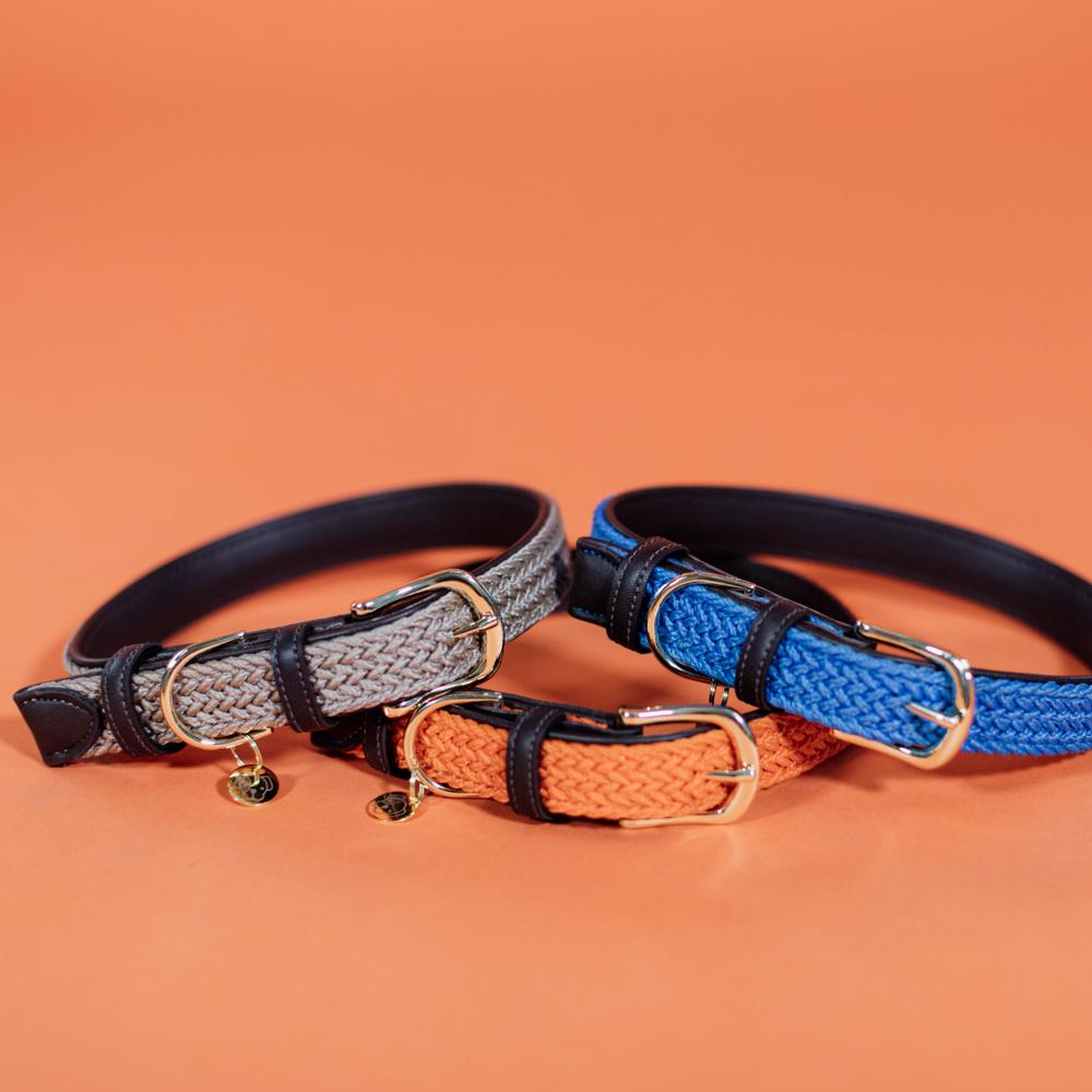 Plaited Nylon Dog Collar | Kentucky Dogwear | Stylish — Image 6
