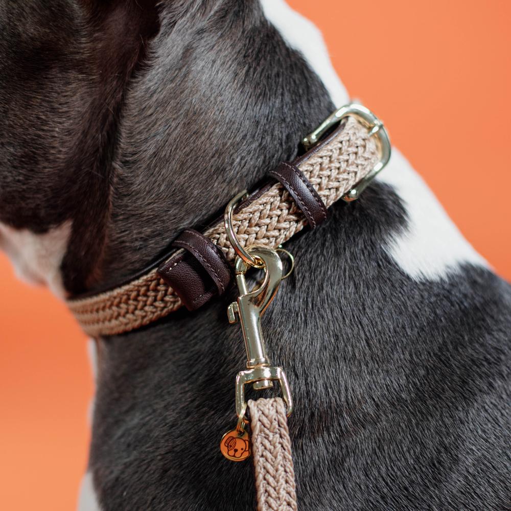 Plaited Nylon Dog Collar | Kentucky Dogwear | Stylish — Image 18