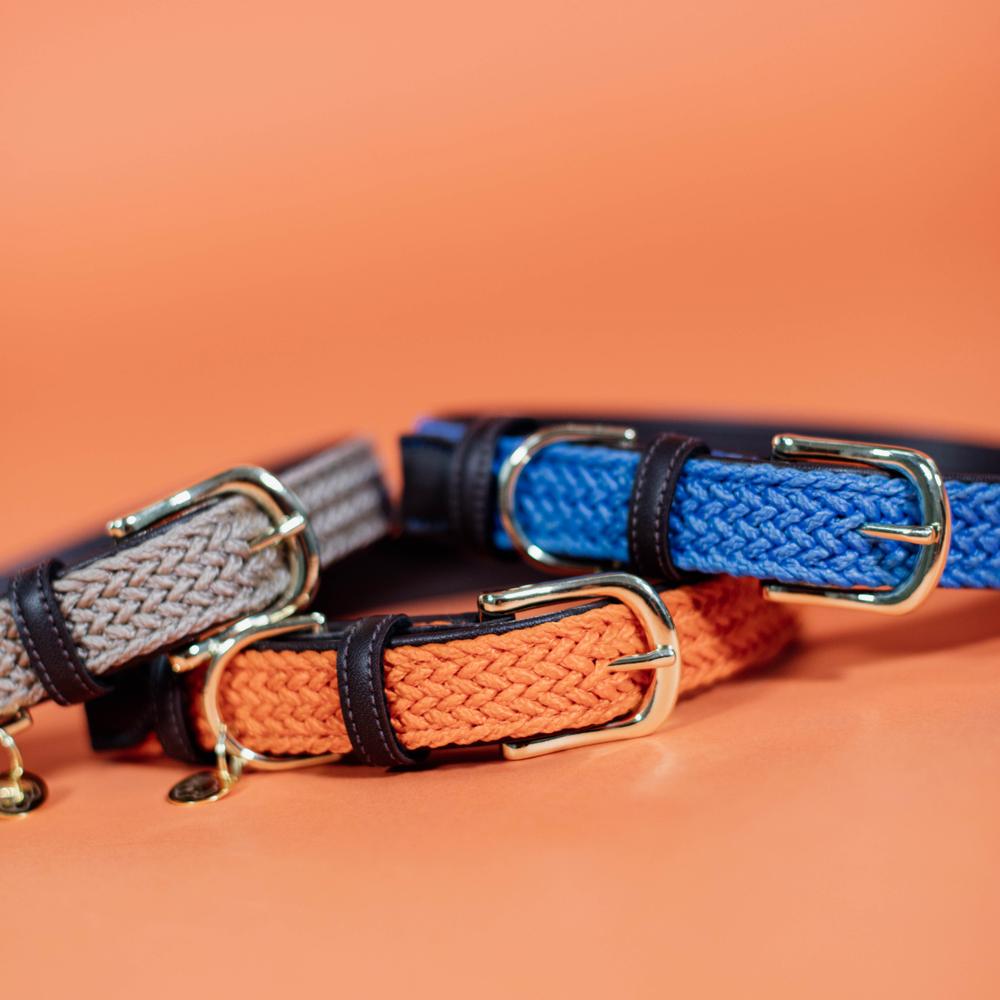 Plaited Nylon Dog Collar | Kentucky Dogwear | Stylish — Image 14