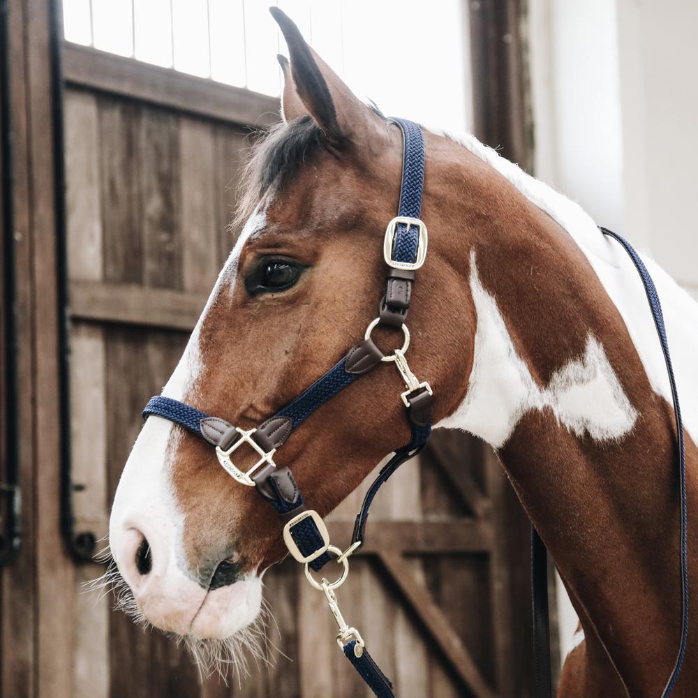 Plaited Nylon Horse Lead | Kentucky Horsewear | Durable — Image 17